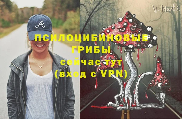 ALPHA PVP Алзамай
