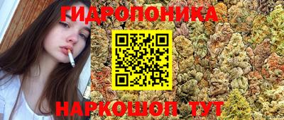 индика Тула
