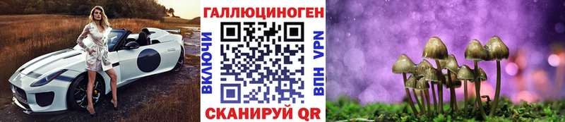 Галлюциногенные грибы Cubensis  Алексеевка 