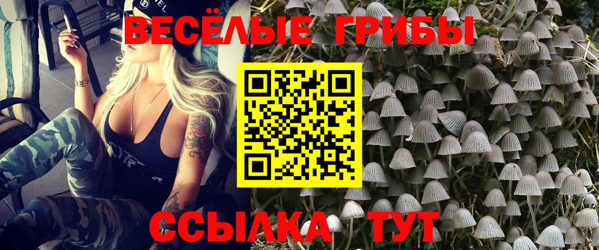 Галлюциногенные грибы MAGIC MUSHROOMS  Вход с VPN  Алексеевка 