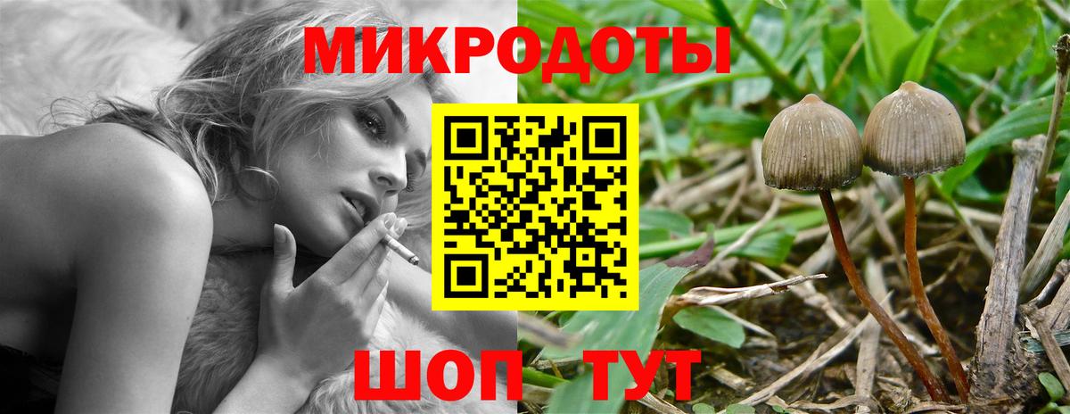 Псилоцибиновые грибы прущие грибы Алексеевка